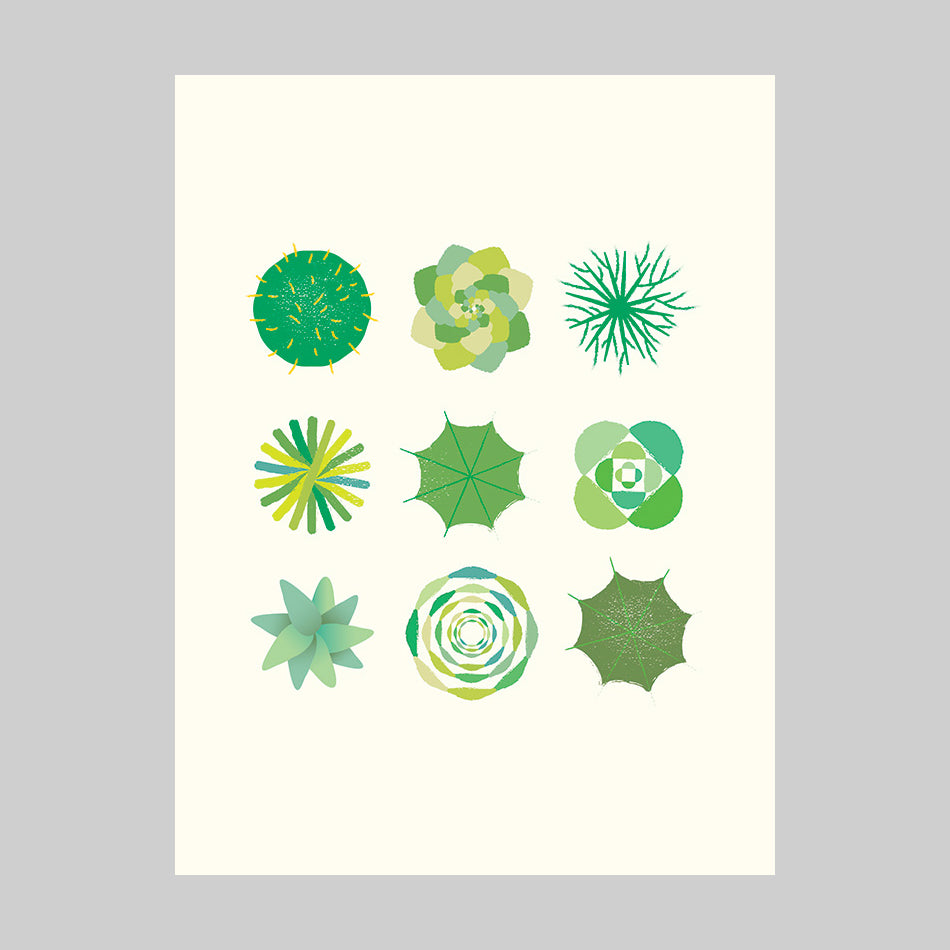 get-your-favorite-players-post-a-card-cactus-online-sale_0.jpg