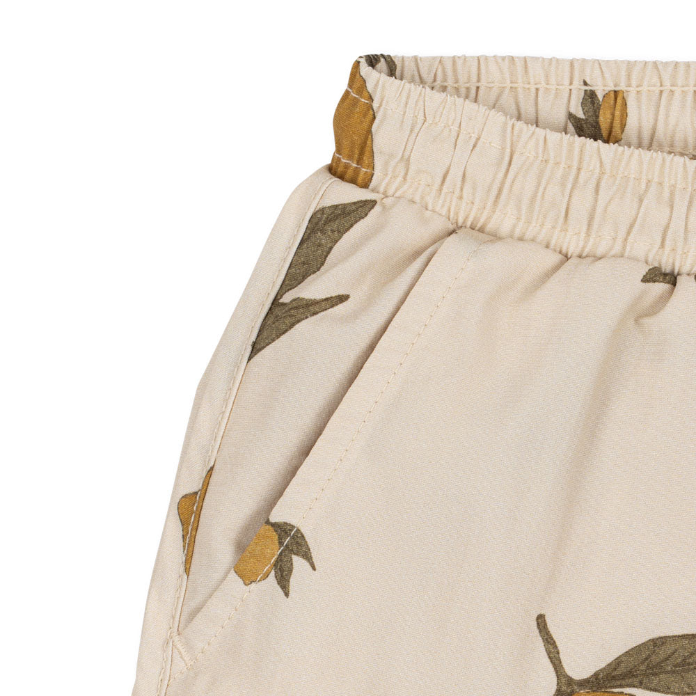buy-your-asnou-swim-shorts-grs-hot-on-sale_1.jpg