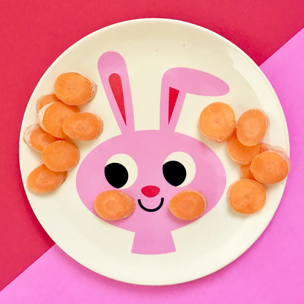 shop-professional-and-licensed-animal-melamine-plate-sale_0.jpg